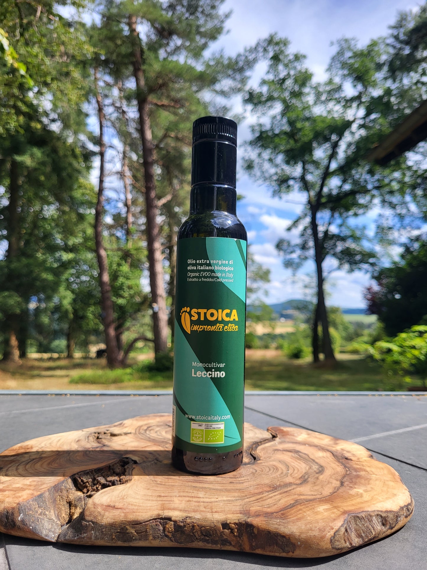 Stoica Olivenöl Leccino