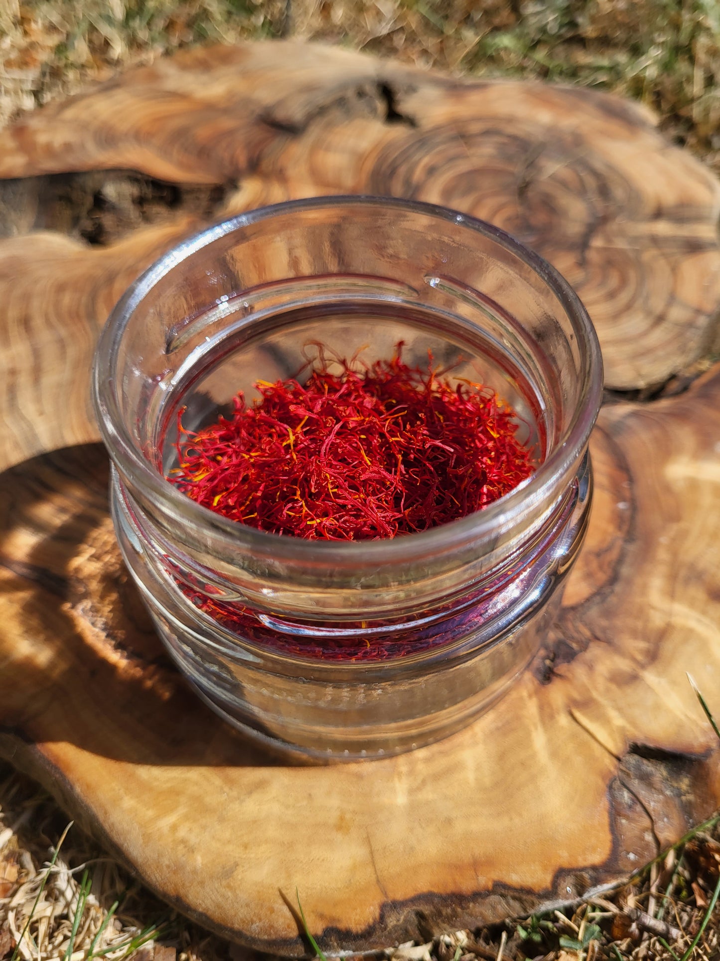 Wilderness Safran del Roero