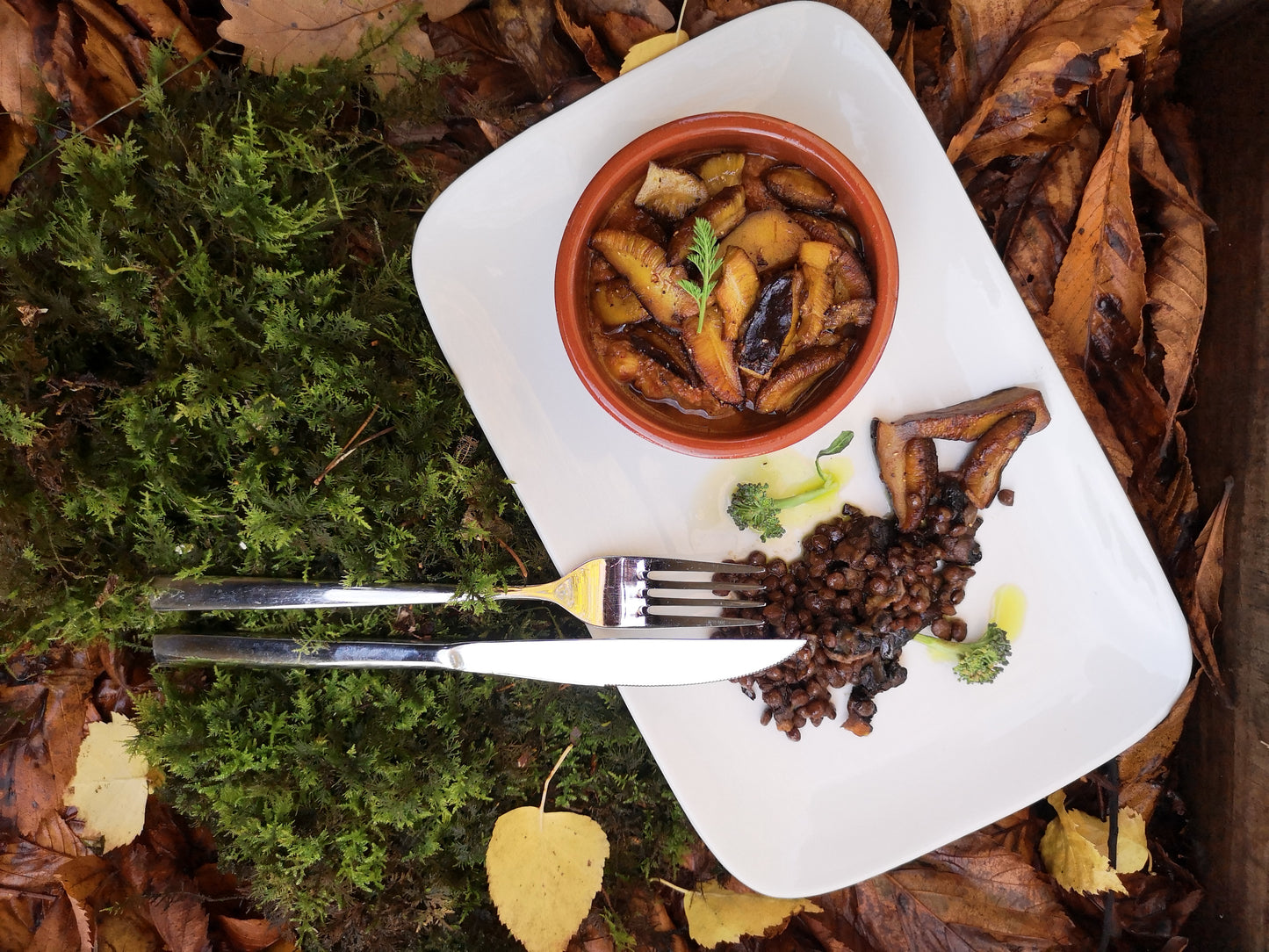 Wildkochkurs mit Jean-Marie Dumaine & Konstantin Steinmeyer, November '23