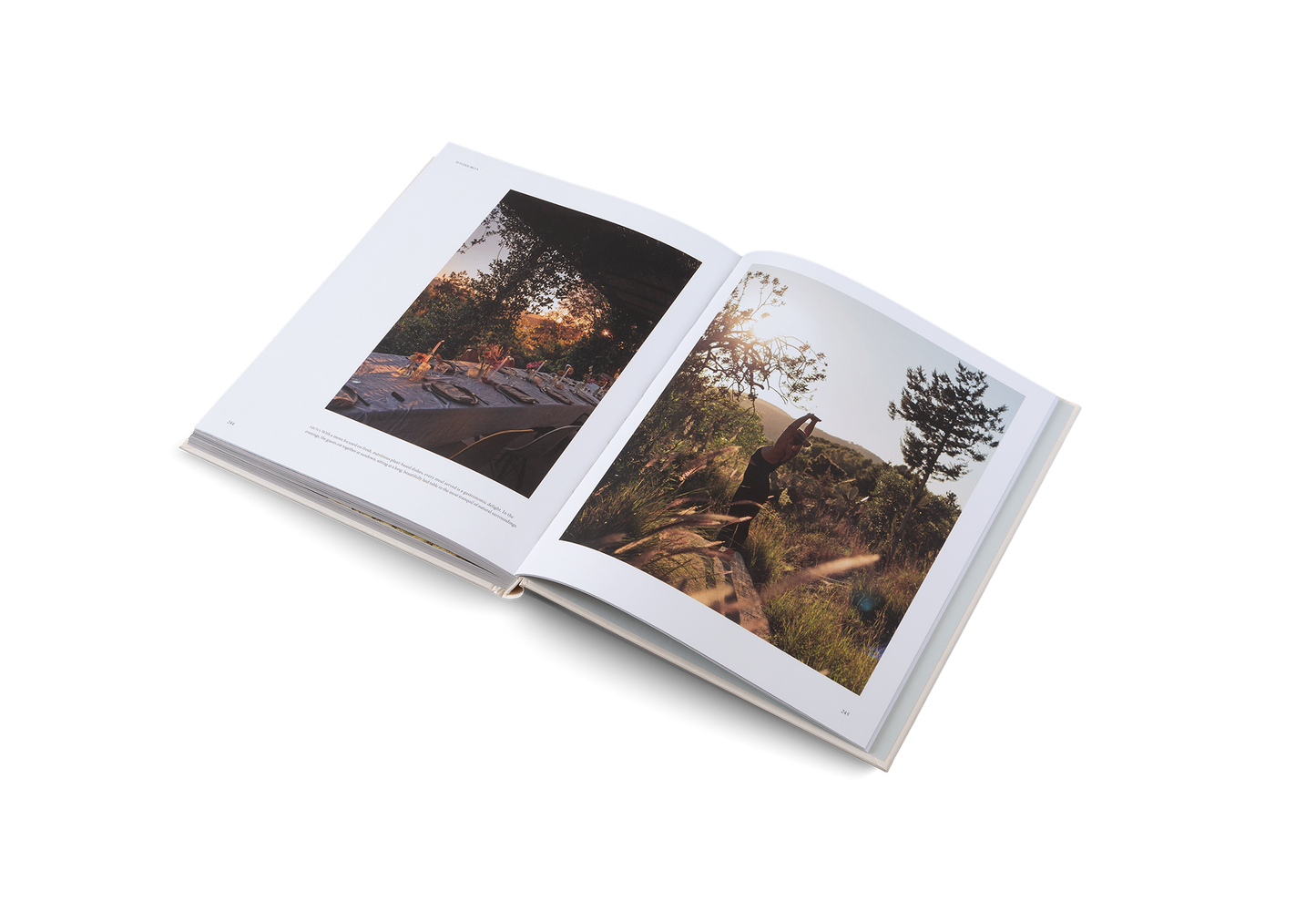 Luoghi consapevoli in cui soggiornare