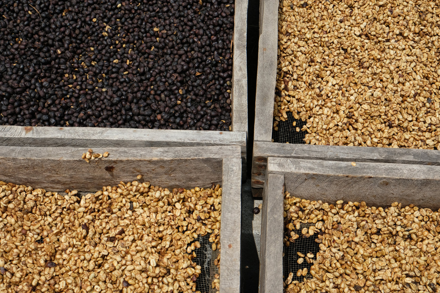 Corazón Oscuro - Miscela arrosto scuro