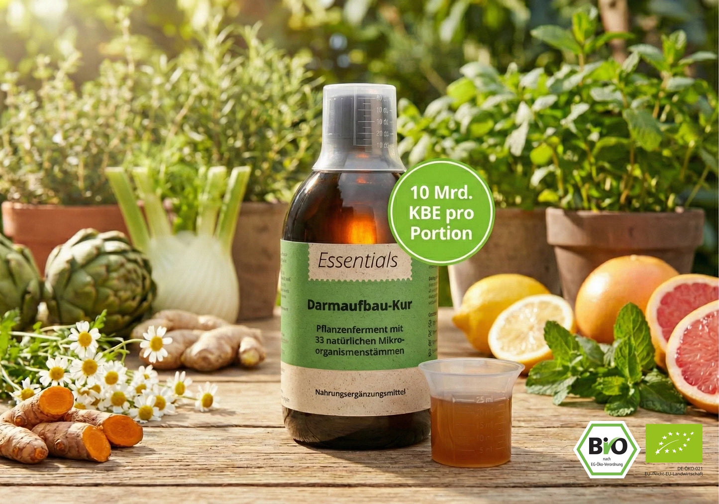 Intestinal restoration treatment with organic ferment