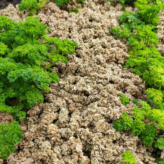 Heumulch Pellets | Gartenmulch