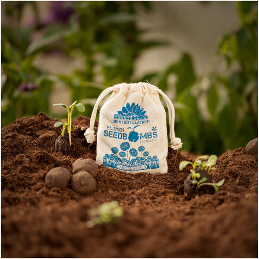 Samenbomben "Gänseblümchen" im Jutebeutel
