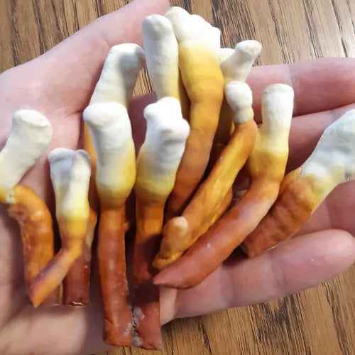 Reishi ready-to-use culture in a myco-bag