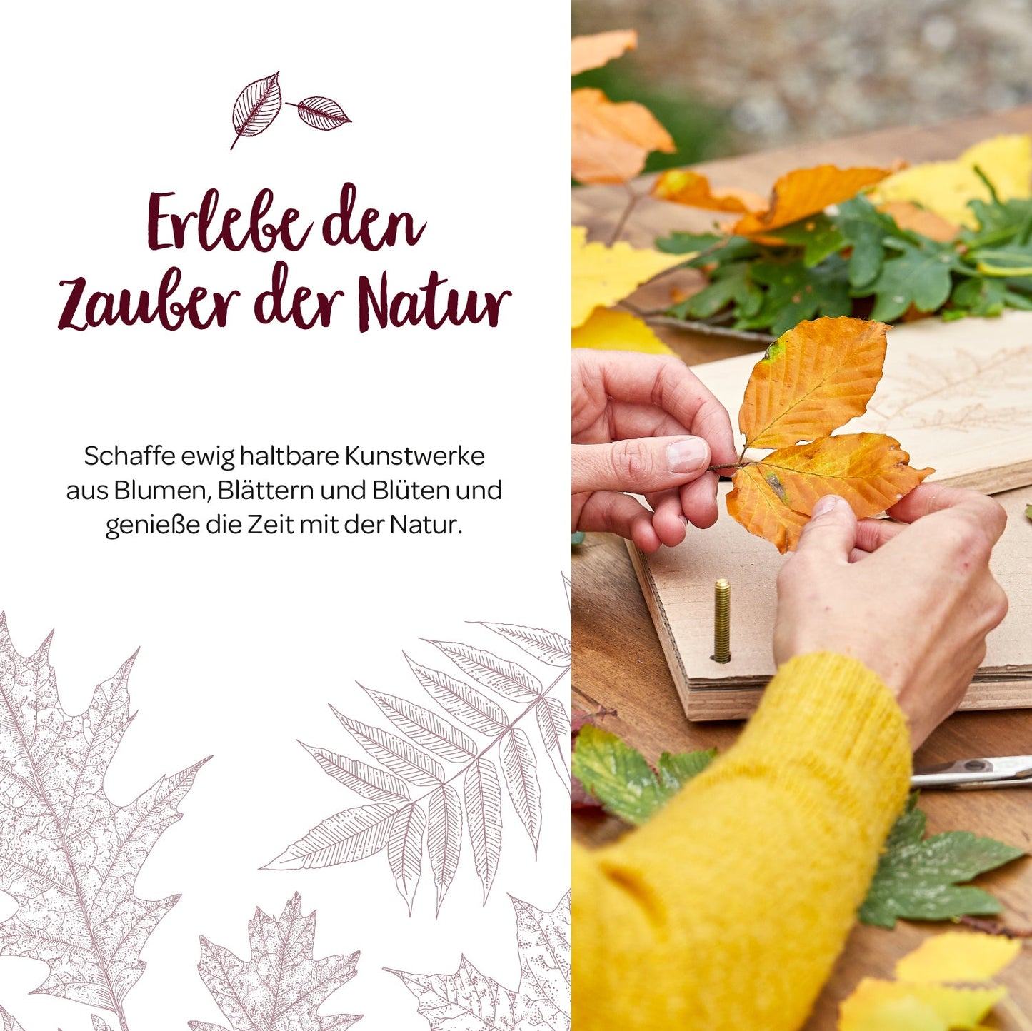 Blattpresse für Blätter & Blüten