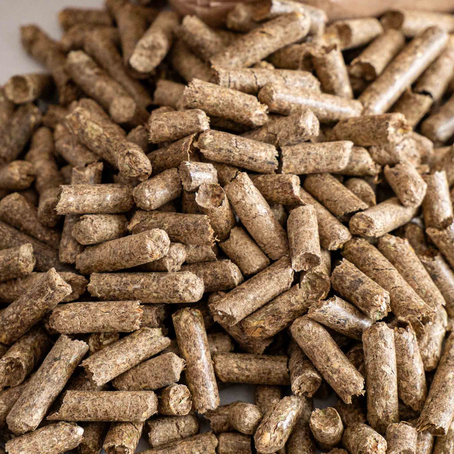 Bedding pellets / straw pellets