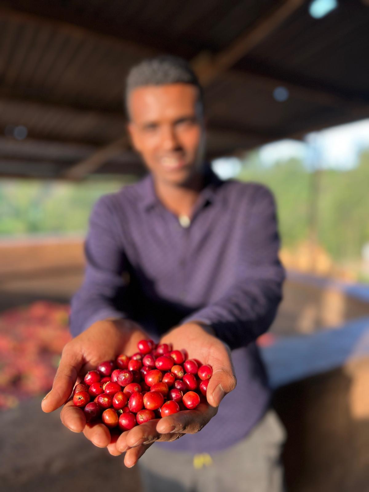 EA Decaf - Famiglia Syoum - Guji Natural