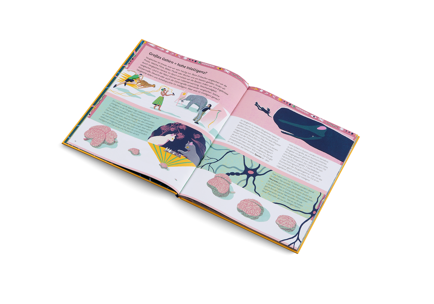 Pretty clever animals!