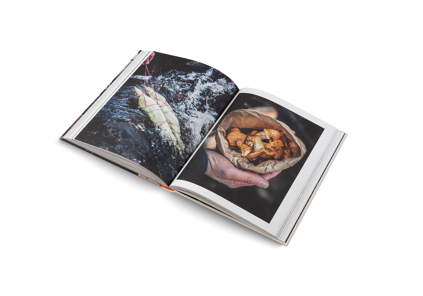 Vegetables cooked over a fire