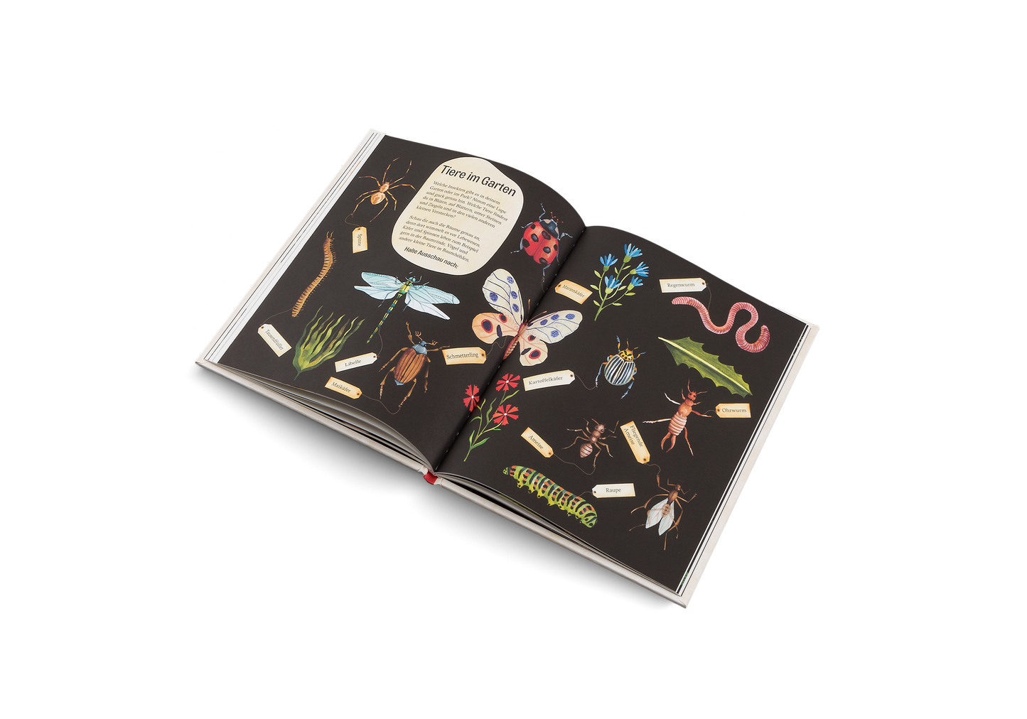 Grüner wird’s nicht