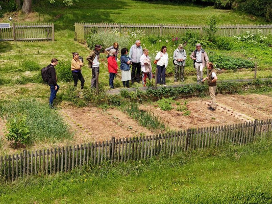 Vom Boden zum Bauch Selbstversorgung mit allen Sinnen