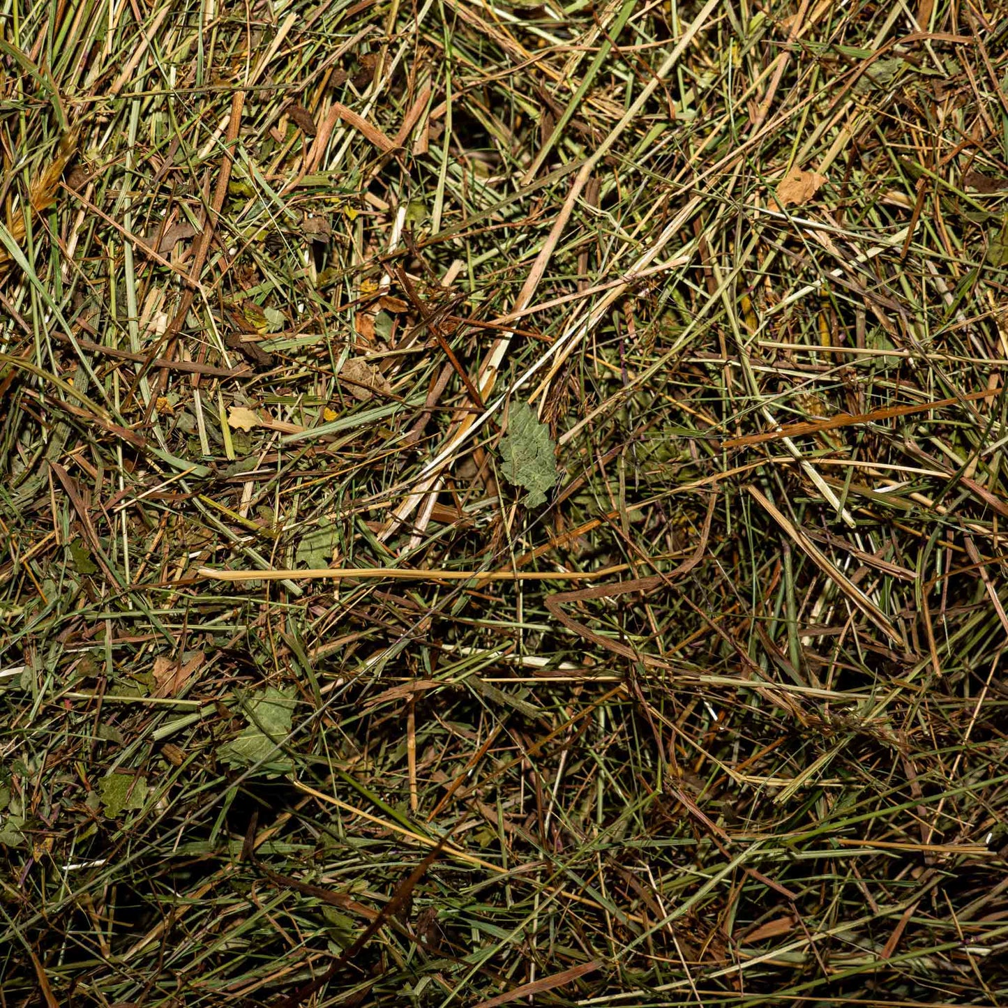 Premium Herbal Hay