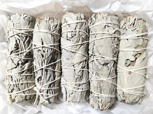 "Natural Ceremony" Incense Set: White Sage, 5 Smudge Sticks