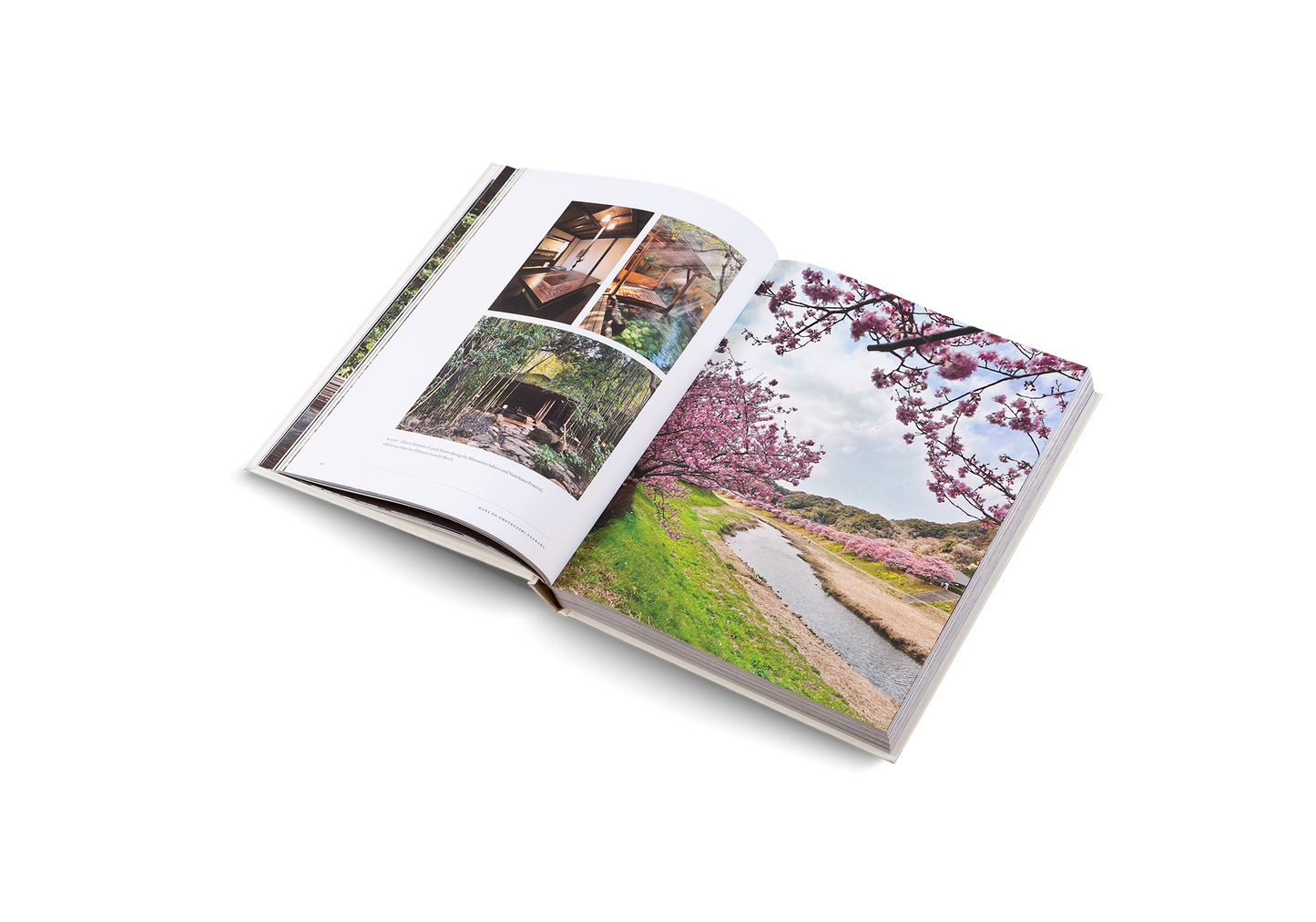 Onsen e Ryokan del Giappone