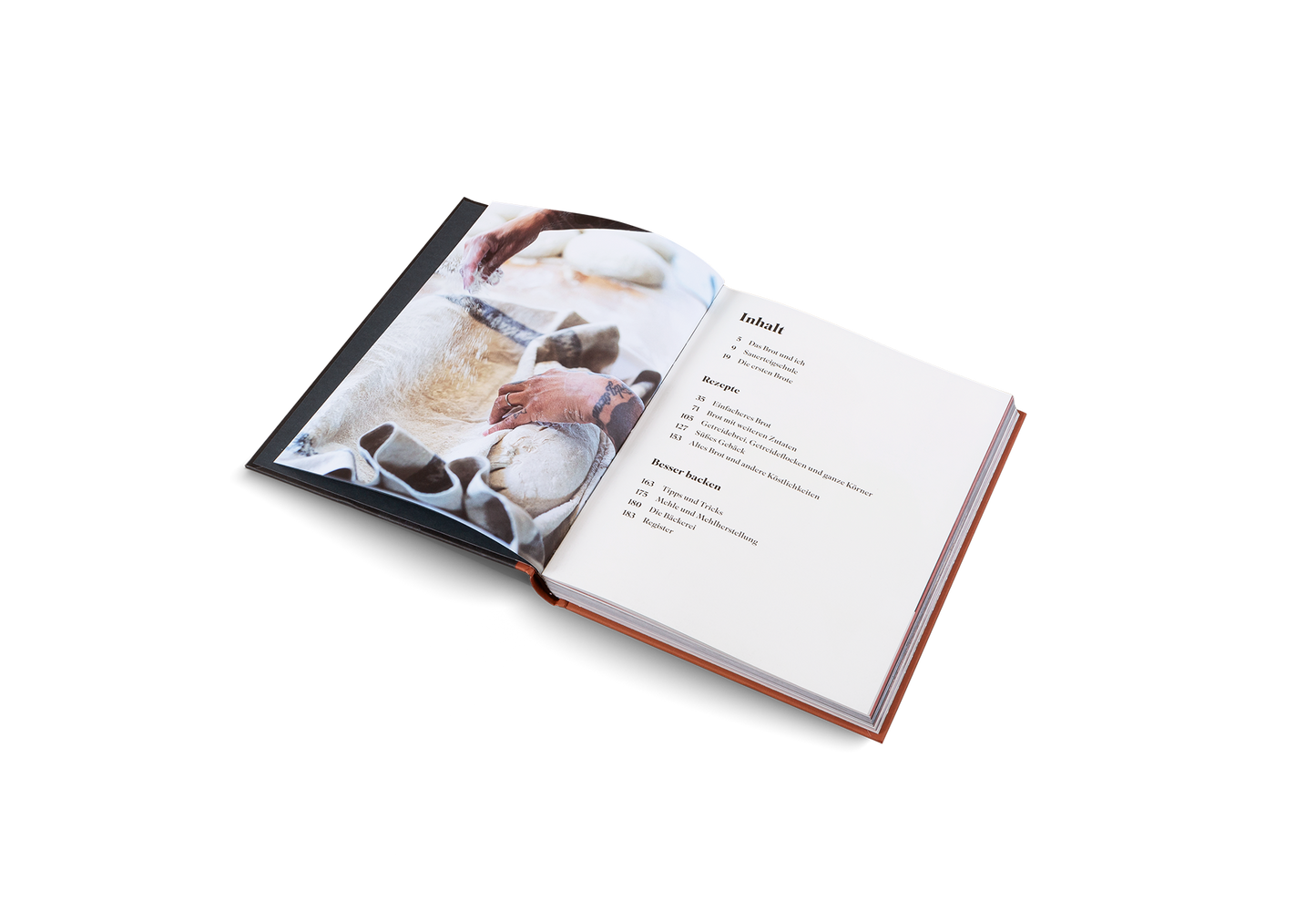 Lievito madre per tutti