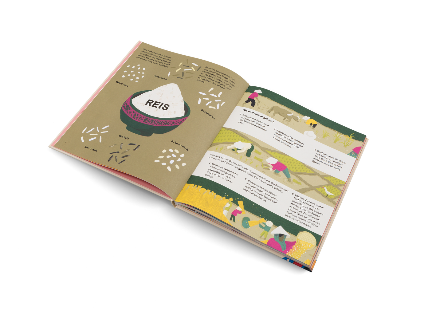 So schmeckt die Welt