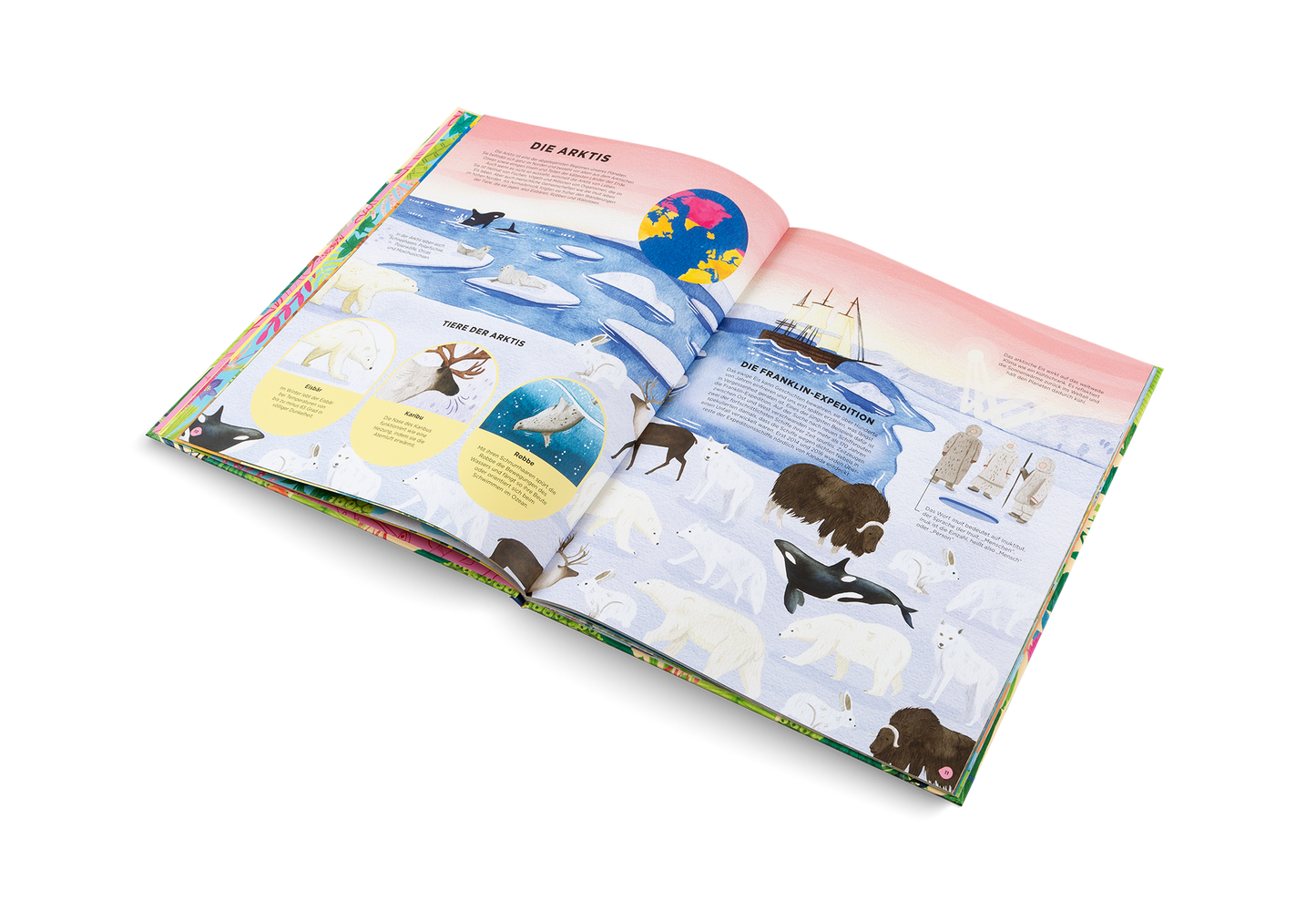 Dove vivono gli animali selvatici