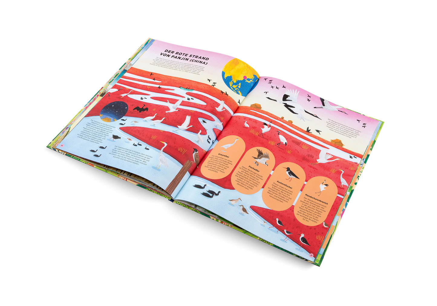 Dove vivono gli animali selvatici