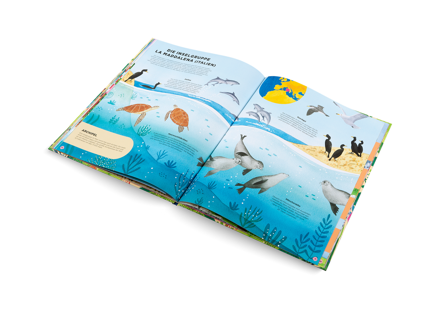 Dove vivono gli animali selvatici