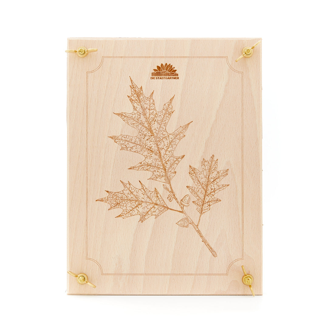 Blattpresse für Blätter & Blüten