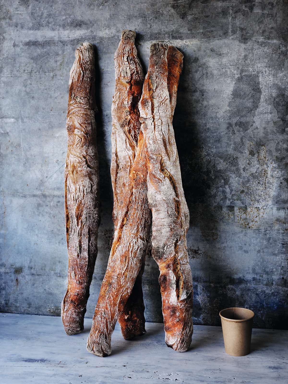 Lievito madre per tutti