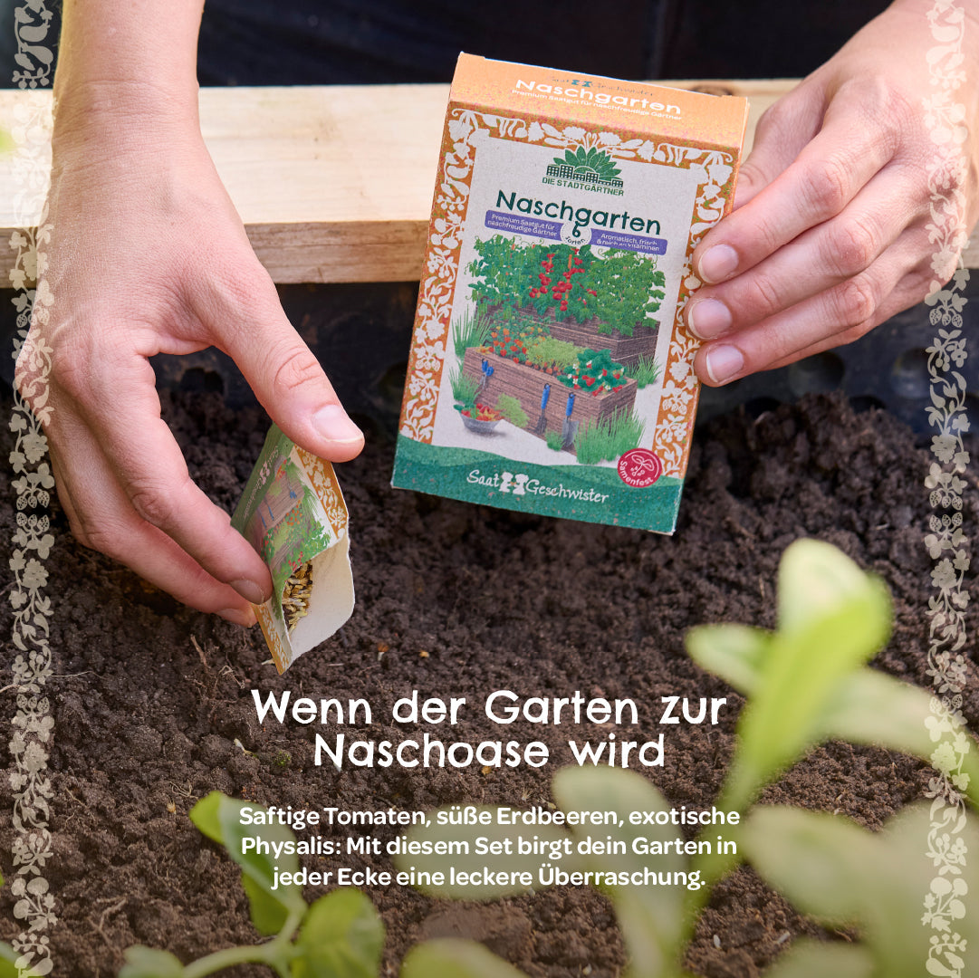 BIO-Saatgut-Set "Naschgarten"