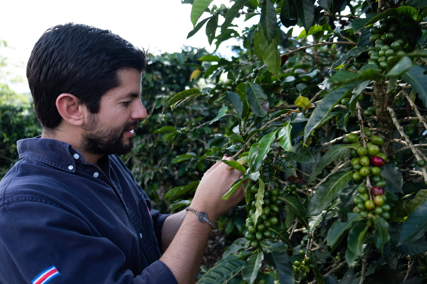 Espresso - Diego Robelo - Grand Peaberry Washed