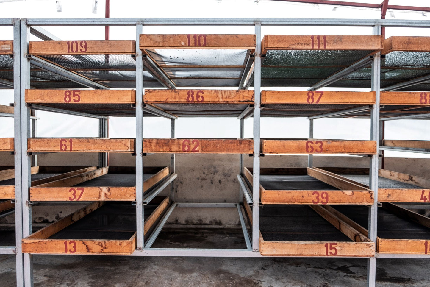 Espresso - Diego Robelo - Grand Peaberry Washed